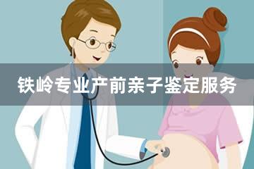 铁岭专业产前亲子鉴定服务